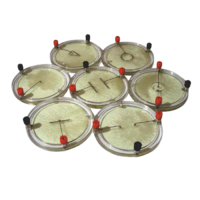 Демонстрационный комплект «Силовые линии электрического поля разных систем зарядов» - «globural.ru» - Миасс