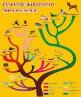 Стенд "Развитие животного мира на земле" - «globural.ru» - Миасс