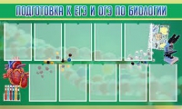 Стенд "Подготовка к ЕГЭ и ОГЭ по биологии" (вариант 2) - «globural.ru» - Миасс