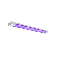 Фитолампа - «globural.ru» - Миасс