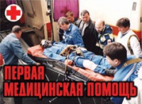 Комплект плакатов "Первая медицинская помощь" - «globural.ru» - Миасс