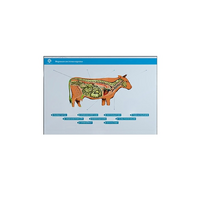 Стенд-планшет светодинамический "Изучение нервной системы сельскохозяйственных животных" со сменными панелями - «globural.ru» - Миасс