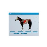 Стенд-планшет светодинамический "Изучение пищеварительной системы сельскохозяйственных животных" со сменными панелями - «globural.ru» - Миасс