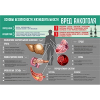 Стенд "Алкоголь" - «globural.ru» - Миасс