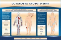 Электрифицированный стенд-тренажер "Остановка кровотечения" - «globural.ru» - Миасс
