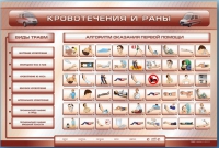 Трехсекционный базовый комплект "Травмы. Кровотечения. Ожоги" для учащихся общеобразовательных учреждений - «globural.ru» - Миасс