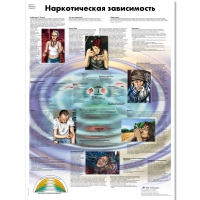 Плакат "Наркотическая зависимость", ламинированный, 50*67 см - «globural.ru» - Миасс