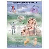 Плакат "Никотиновая зависимость", ламинированный, 50*67 см - «globural.ru» - Миасс