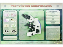 Электрифицированный стенд "Устройство микроскопа и правила работы c ним" - «globural.ru» - Миасс