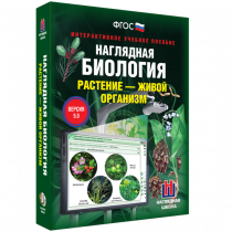Наглядная биология. Растение - живой организм - «globural.ru» - Миасс