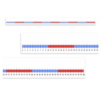 Нумирошка. Числовая прямая 0-100 по методике Нумикон - «globural.ru» - Миасс
