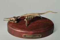 Модель скелета ихтиозавра Ichthyosaurus - «globural.ru» - Миасс