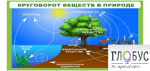 Стенд "Круговорот веществ" - «globural.ru» - Миасс