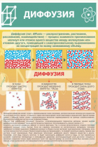 Стенд "Диффузия" - «globural.ru» - Миасс