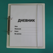 Дневник школьника (с полным набором карточек) - «globural.ru» - Миасс
