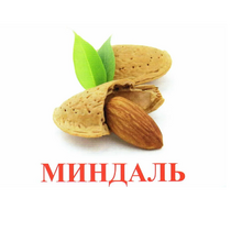 Карточки Домана "Орехи-Ягоды-2" - «globural.ru» - Миасс