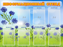 Стенд информационный с 7 карманами - «globural.ru» - Миасс