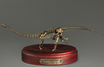 Модель скелета динозавра Diplodocus (вариант 1) - «globural.ru» - Миасс