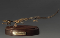 Модель скелета мозазавра Mosasaurus - «globural.ru» - Миасс