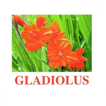 "Flowers-1" ("Цветы-1") английские карточки Домана - «globural.ru» - Миасс