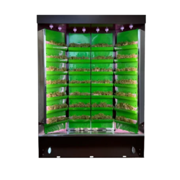 Вертикальная ферма "Моя Микрозелень" комплектация "Театро настольная" - «globural.ru» - Миасс