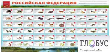 Стенд "Красная книга РФ" - «globural.ru» - Миасс