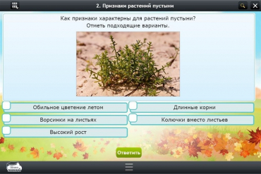 Интерактивные курсы. Окружающий мир 3 класс. Базовый - «globural.ru» - Миасс