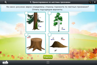 Интерактивные курсы. Окружающий мир 1 класс. Базовый - «globural.ru» - Миасс