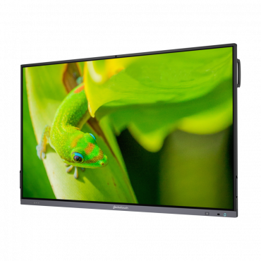 Интерактивный программно-аппаратный комплекс Geckotouch Interactive IP65GT-C в комплекте с настенным креплением - «globural.ru» - Миасс