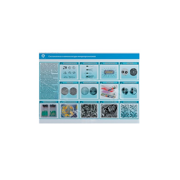 Стенд-планшет светодинамический «Изучение систематики и номенклатуры микроорганизмов» - «globural.ru» - Миасс