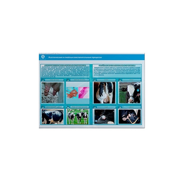 Стенд-планшет светодинамический «Изучение асептических и гнойных воспалительных процессов» - «globural.ru» - Миасс