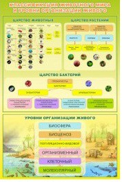 Стенд "Классификация животного мира" - «globural.ru» - Миасс